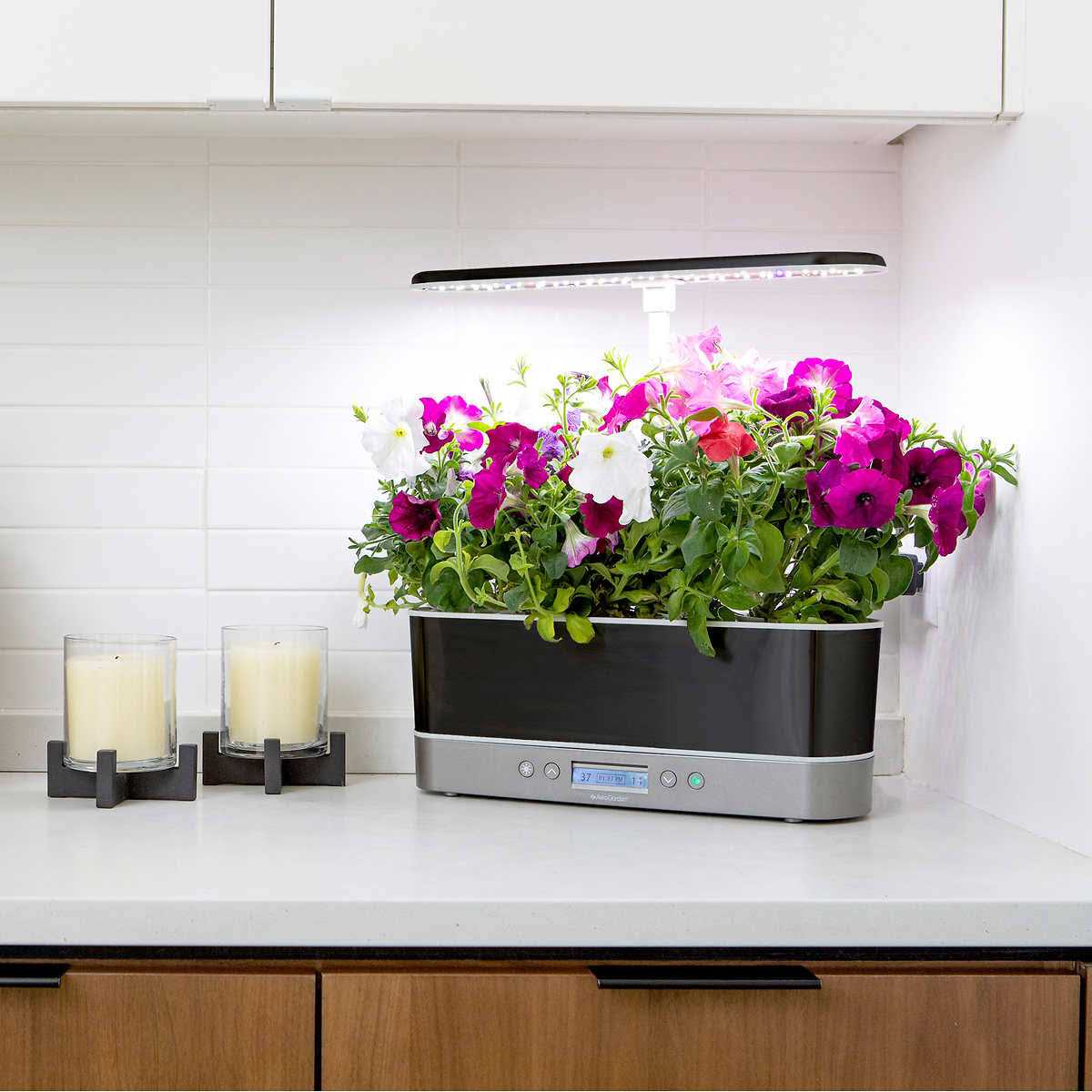 AeroGarden Bounty Elite Indoor Garden with LED Grow Light - Image 3