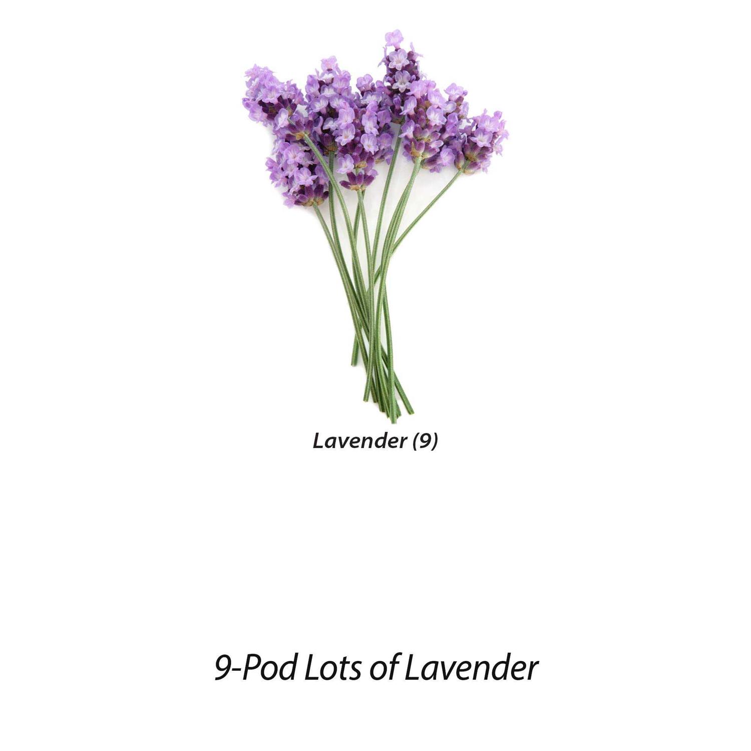 Aerogarden Lots of Lavender Seed Pod Kit - Image 2